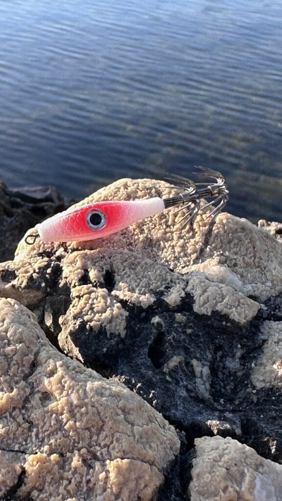 Señuelo garrapatita bicolor rojo-blanco