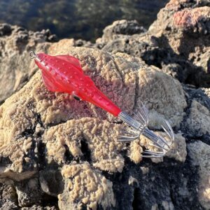 Señuelo garrapatitas 2.0 fucsia traslúcido